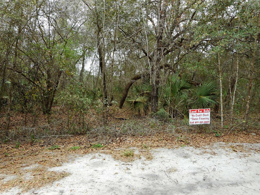 Fort McCoy Lot Close to Pegram Lake and Island Lake LandCentral