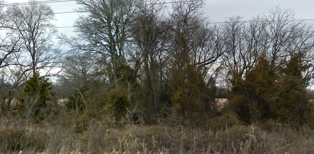 Lot in Burneyville within Falconhead POA LandCentral