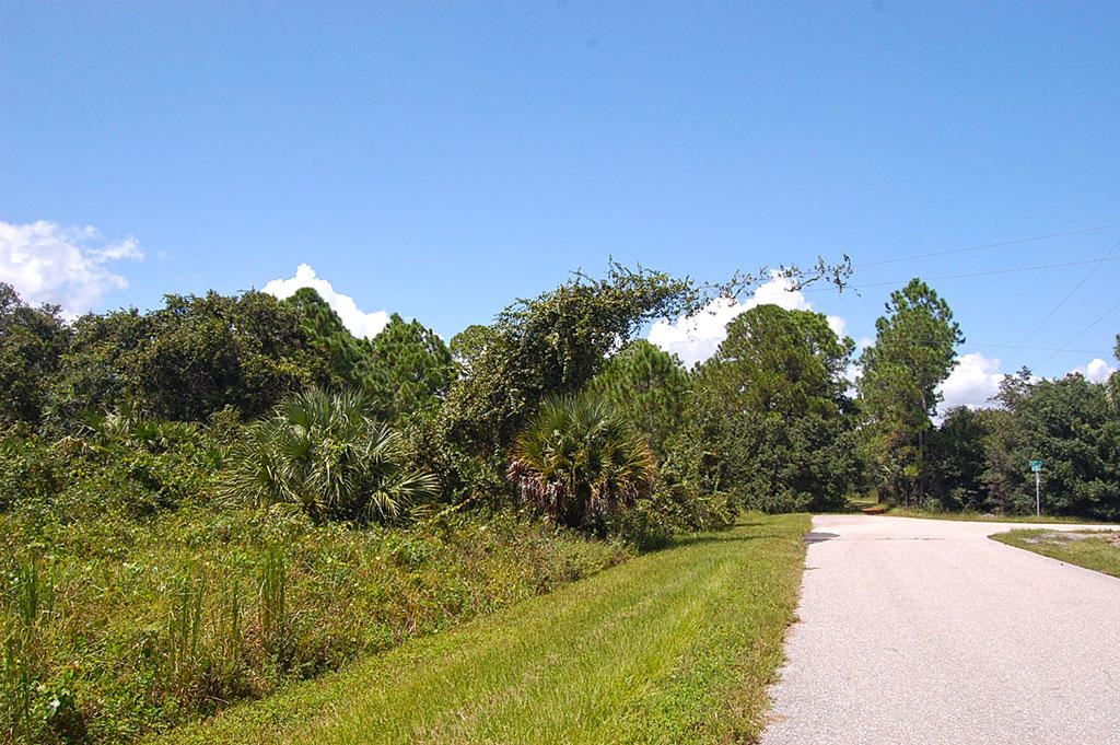 Over Half an Acre in Highlands Park Estate Neighborhood of