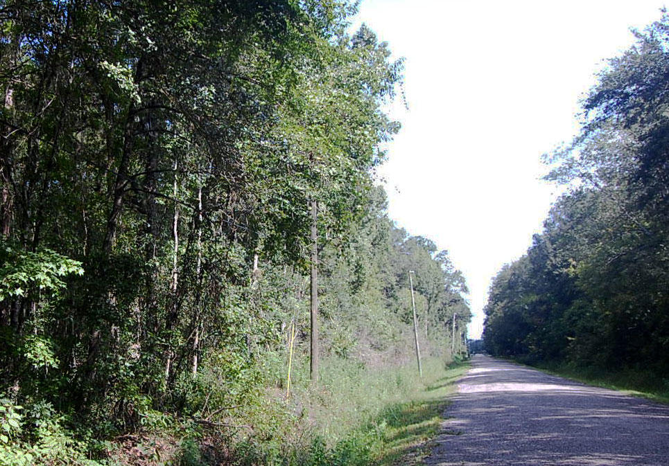 Large Acreage in Central Florida LandCentral