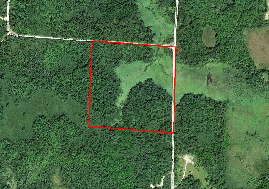 Large Acreage Parcel in Central Minnesota LandCentral