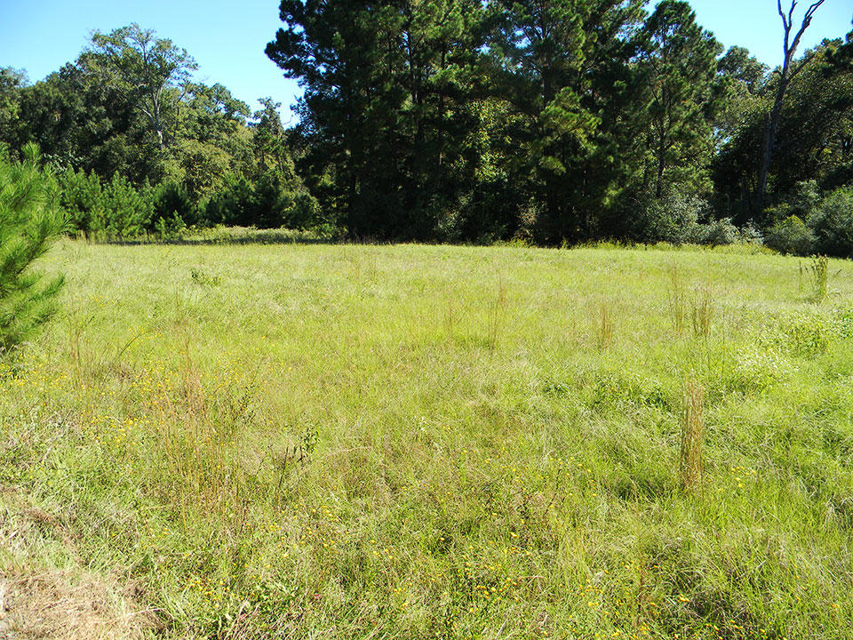 A Peaceful Countryside Lot in Trinity Plantation LandCentral