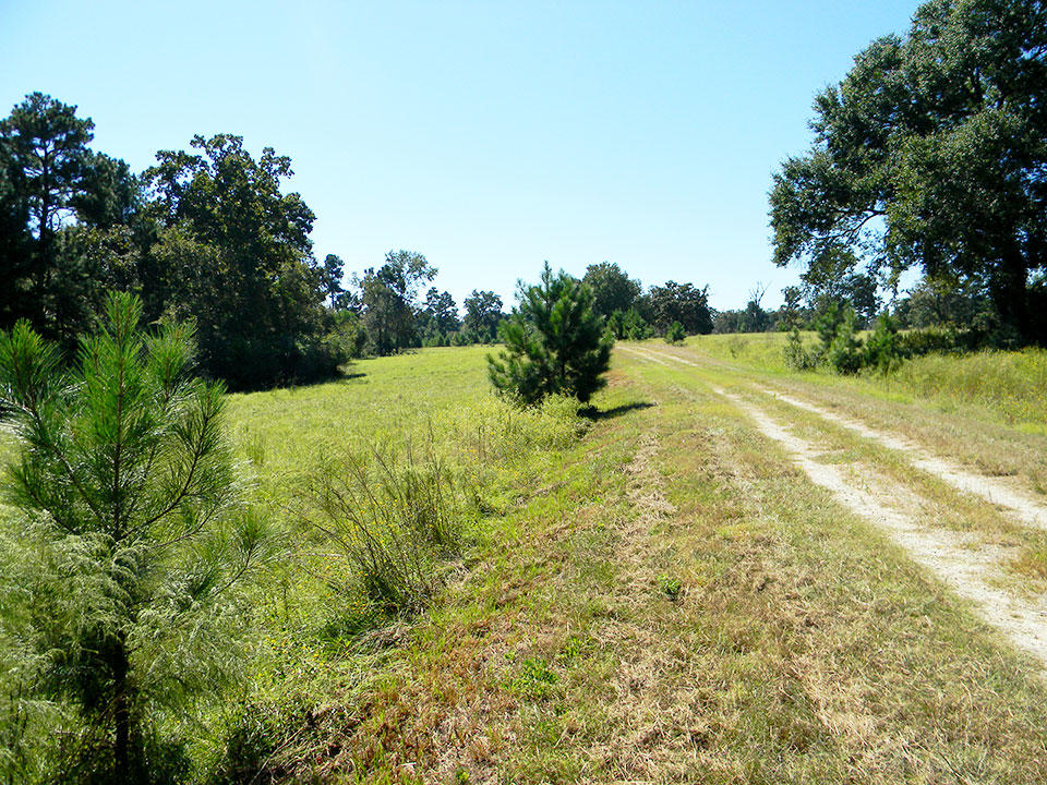 Trinity Plantation Estate Property LandCentral