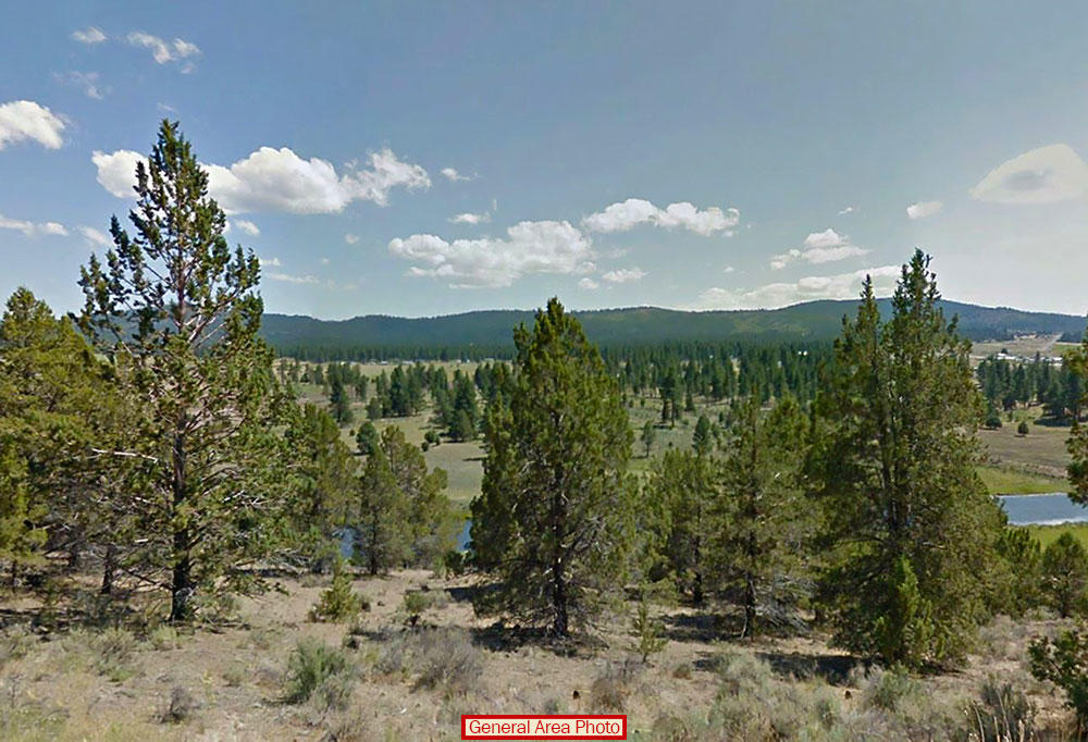 2+ lush acres only 3 miles from beautiful Sprague River LandCentral