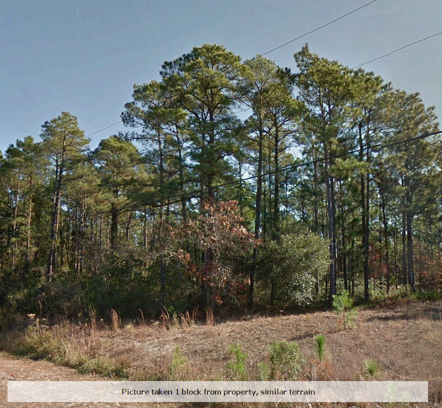 Beautiful wooded property only 20 minutes from the ocean LandCentral