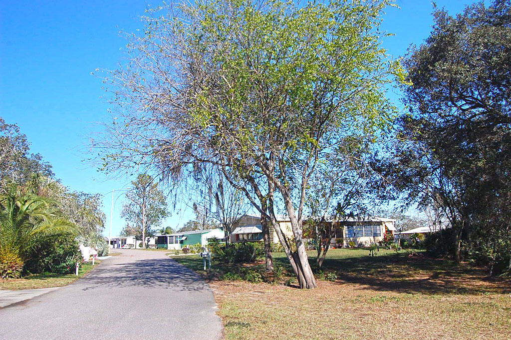 Great 55 Plus Neigborhood in Natures Edge Resort in Lake LandCentral