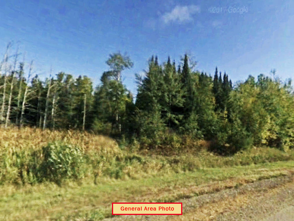 Wisconsin Timberland Near White Birch Lake LandCentral