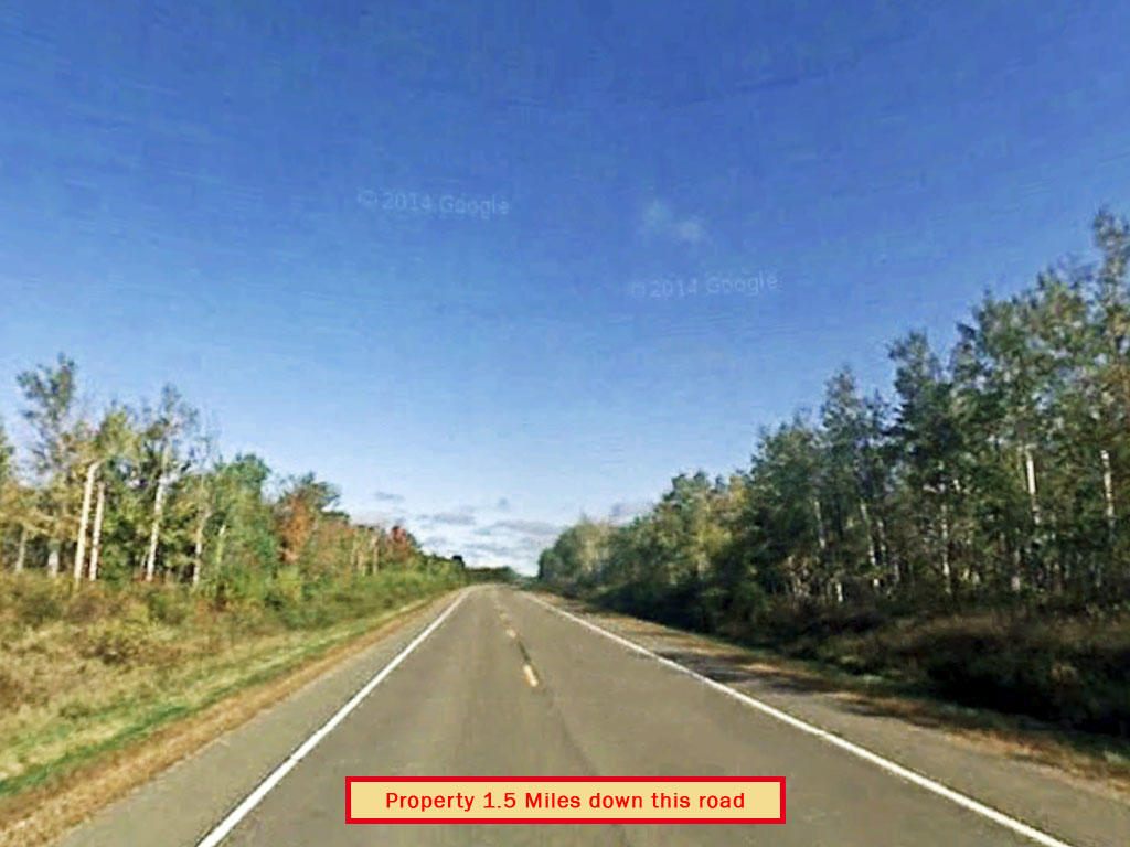 Wisconsin Timberland Near White Birch Lake LandCentral