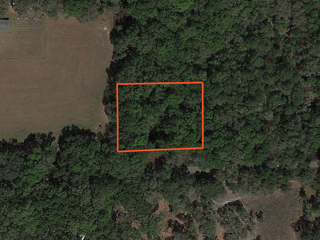One Acre Property near Florahome LandCentral