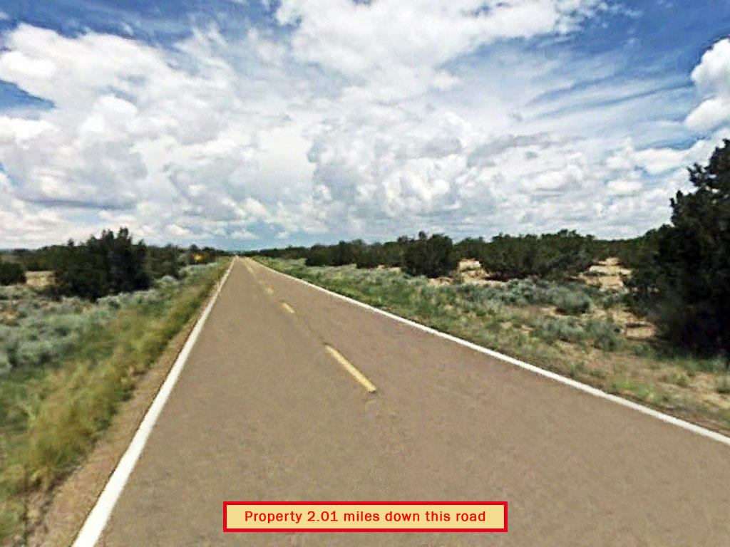 Stunning 40 Acres on Spacious Desert Land LandCentral