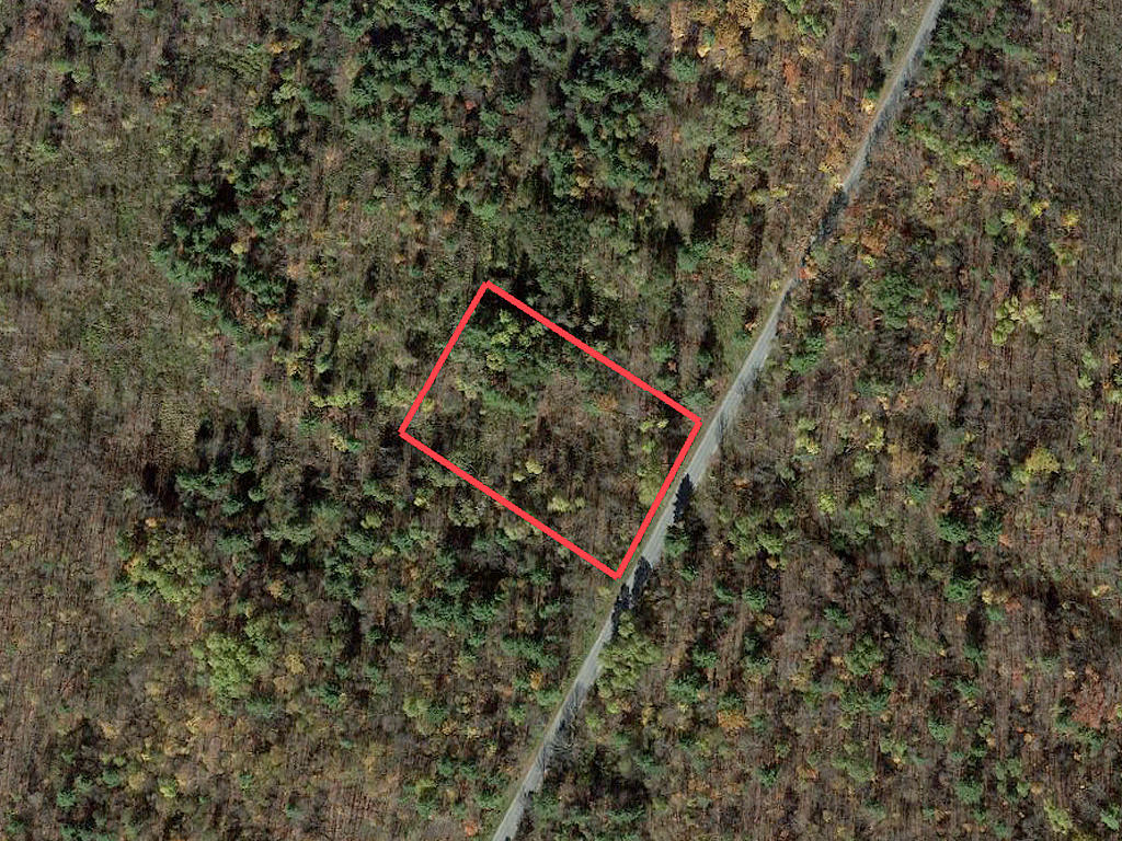 Quiet Acreage in Upstate New York LandCentral