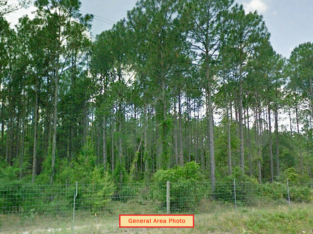 Rare Three Lot Florahome Florida Property LandCentral
