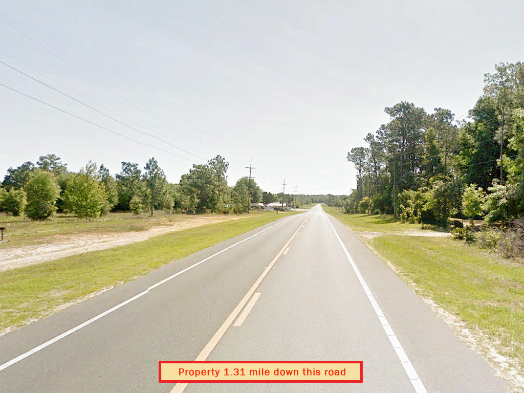 Escape to Quiet Neighborhood in Northern Florida LandCentral