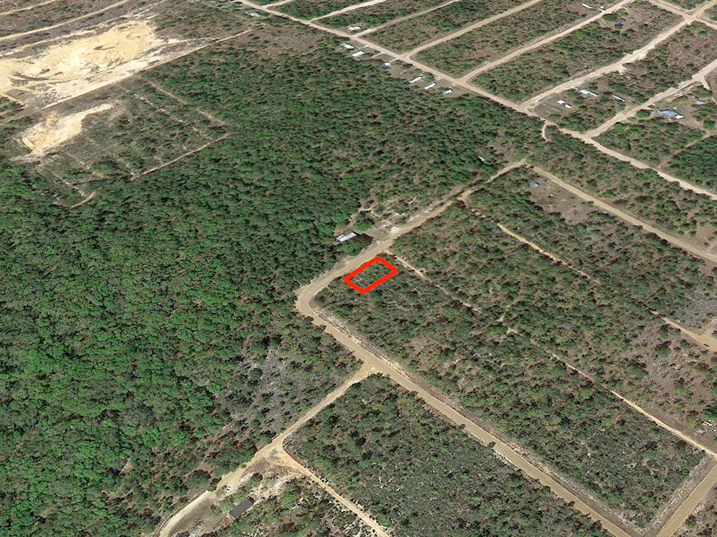 Sunny Property Near Trout Lake LandCentral