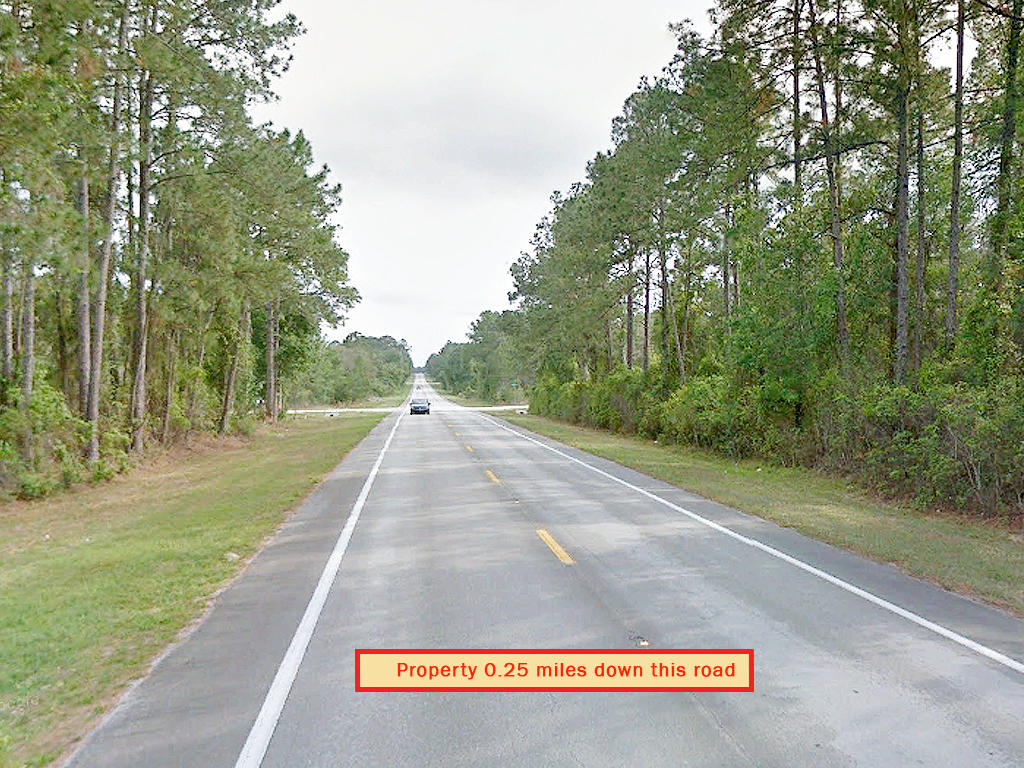 Two and A Half Acres in Crescent City LandCentral