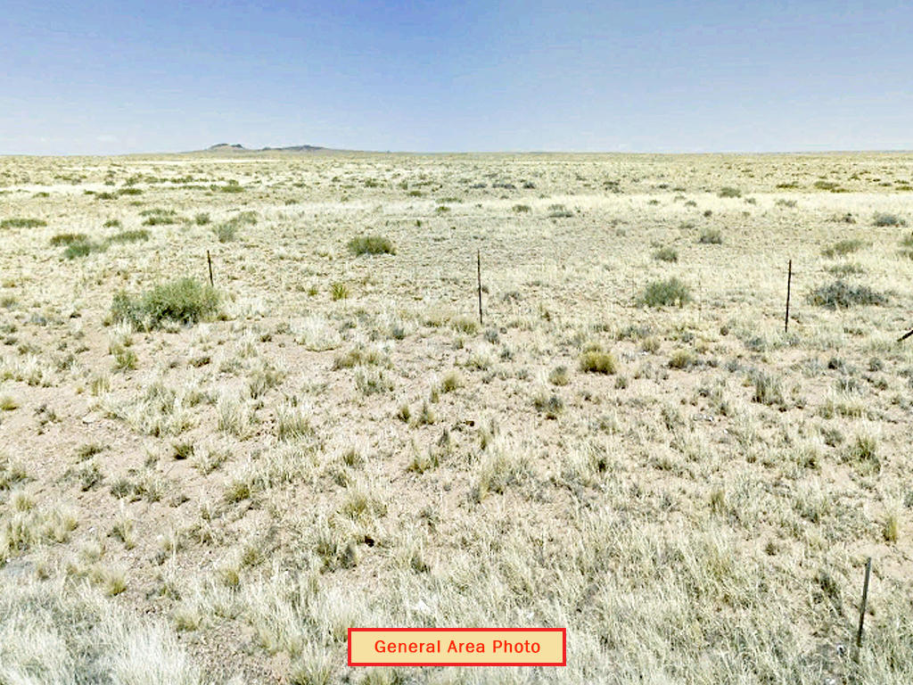 Stunning Four Parcels Sold as One LandCentral