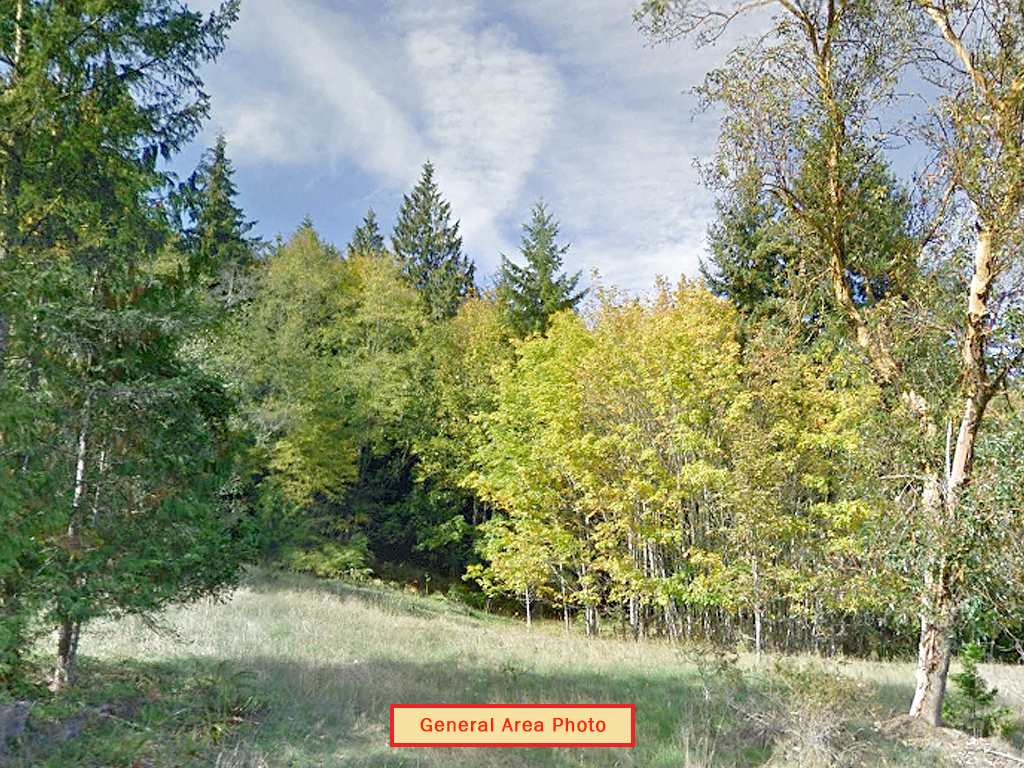 Olympic Peninsula Property in Beautiful Area LandCentral