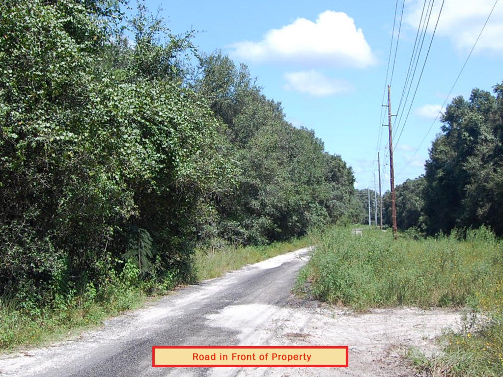 Acreage Property in Rural Area Close to Orlando LandCentral