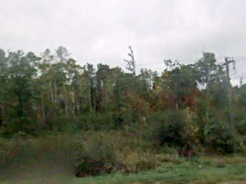 Large Half Acre Lot Near Several Lakes LandCentral