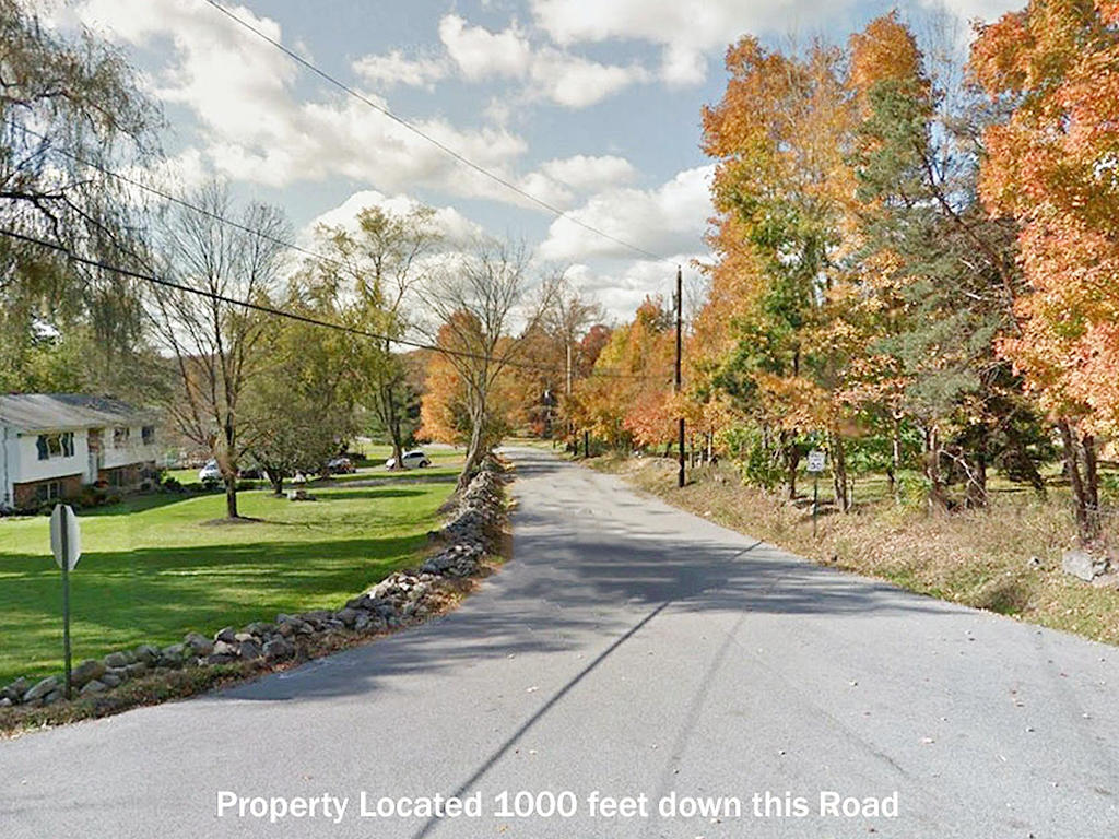 Rare 2 Acres on New York Land LandCentral