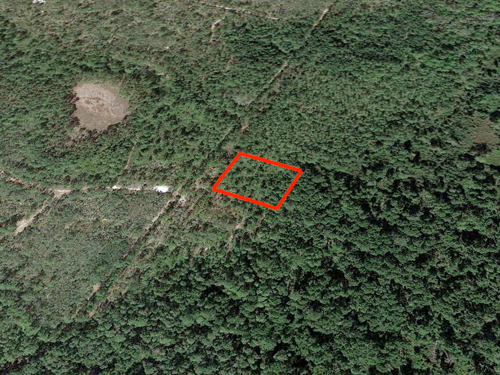 1 Acre St. Johns Riverside Estates Property LandCentral