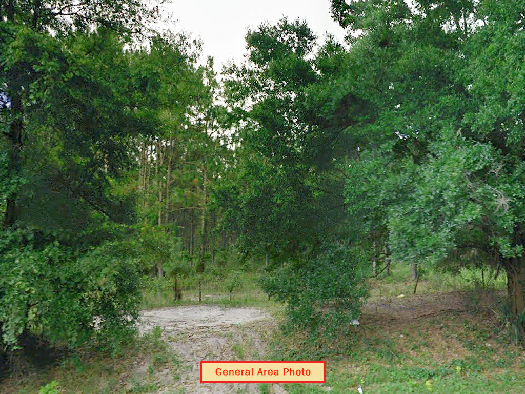 1 Acre St. Johns Riverside Estates Property LandCentral