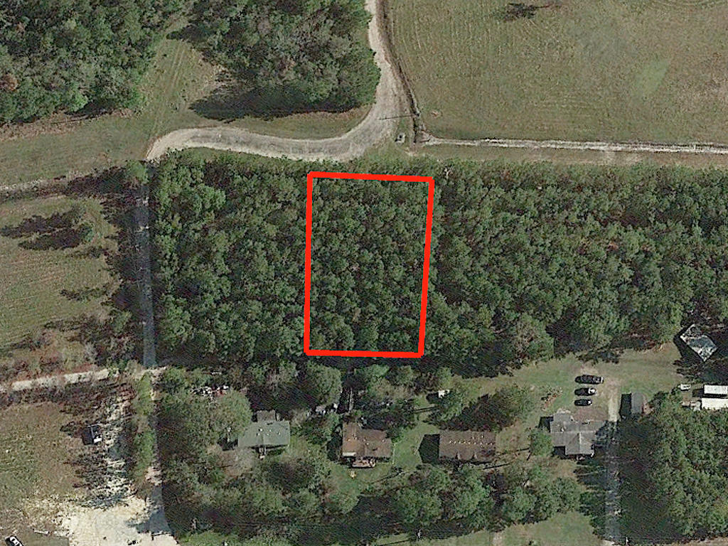 Lovely Private Half Acre Lot Near Rocky Point LandCentral