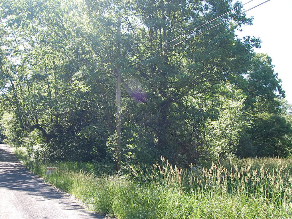 Lovely Ohio Lot Near Crystal Lake LandCentral