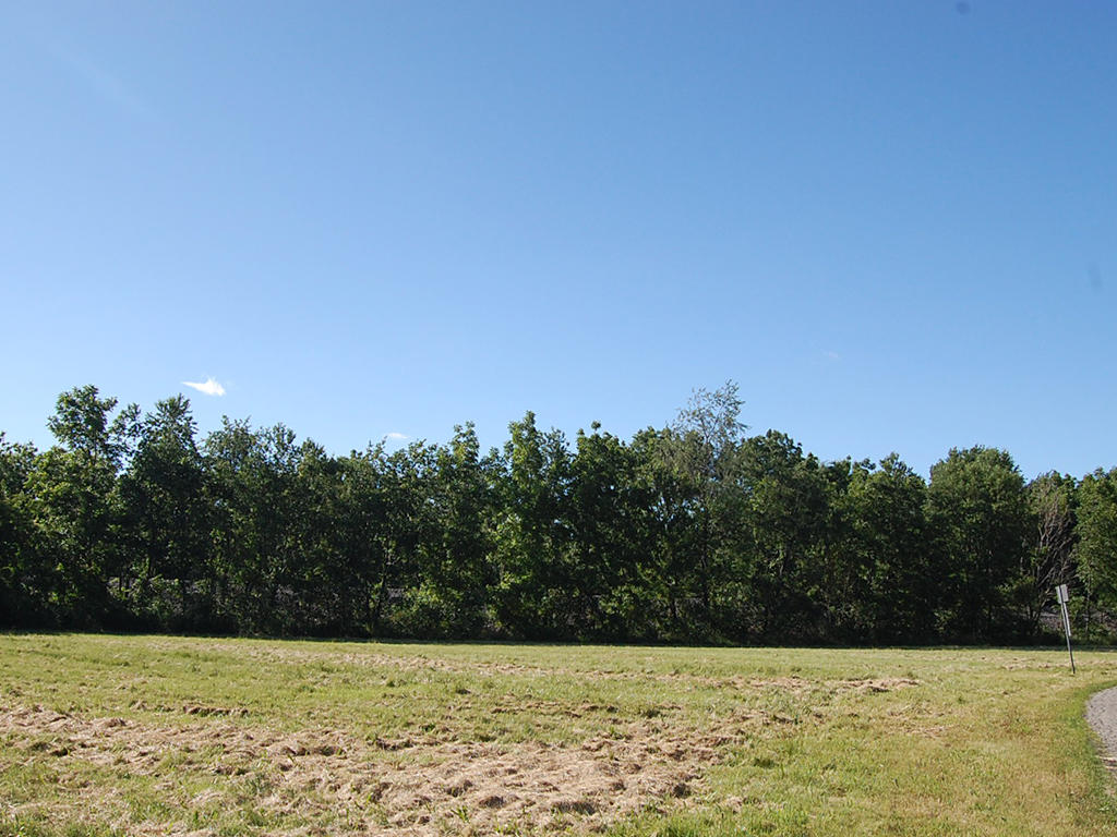 Safe Haven on Nearly Half an Acre - Image 3
