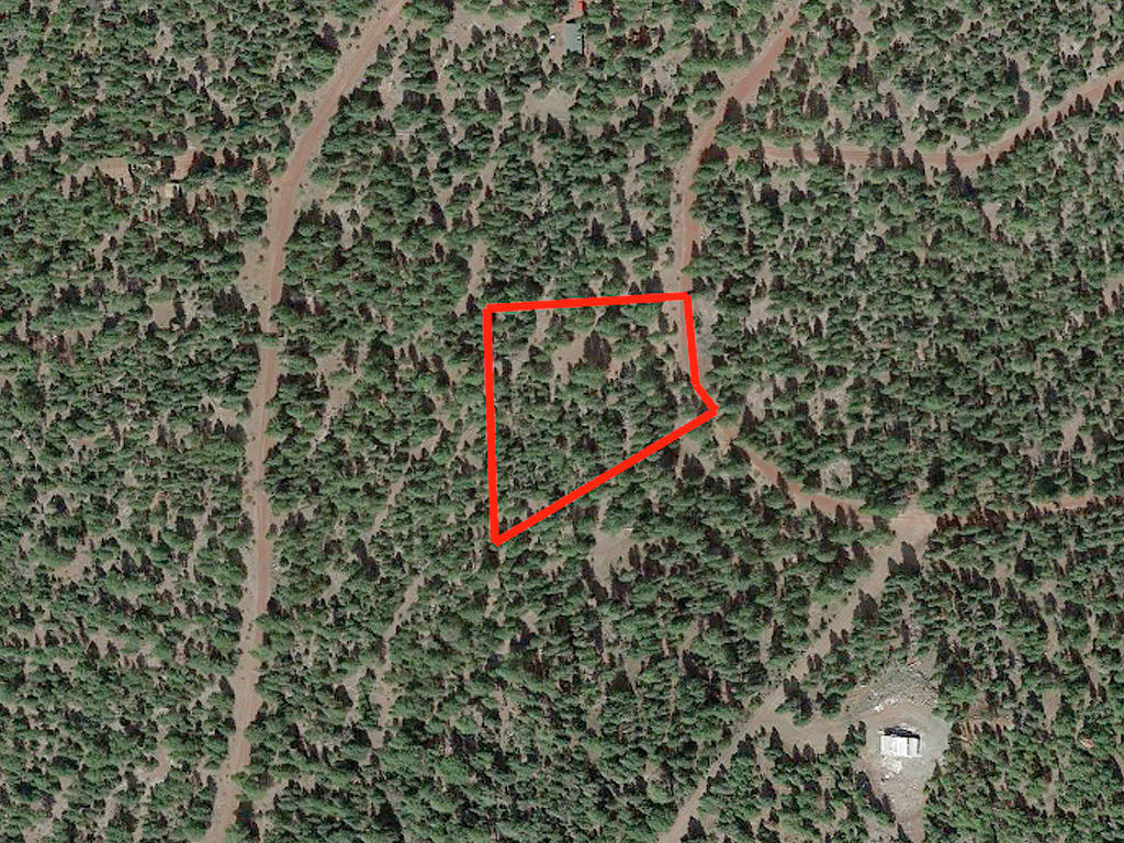 Double Wooded California Pines Lot LandCentral