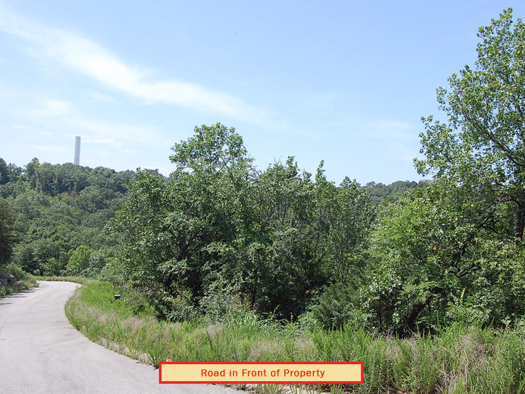 Stunning Land Opportunity Near Table Rock Lake LandCentral