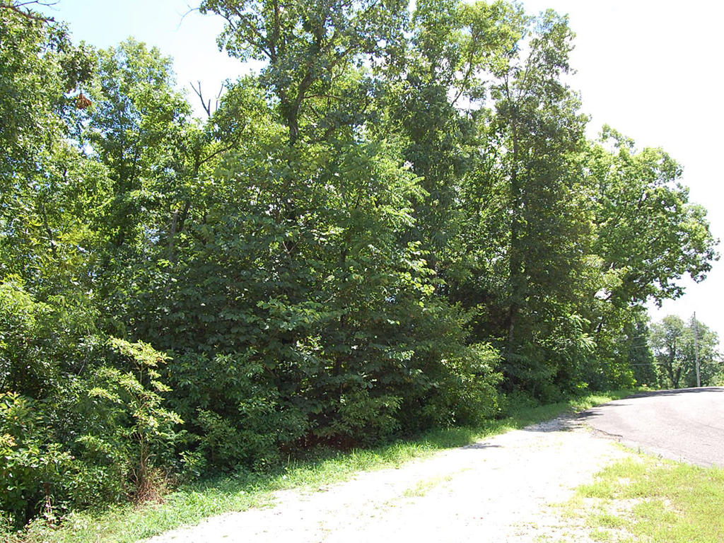 NE Corner Benton County Land Between Two Lakes LandCentral