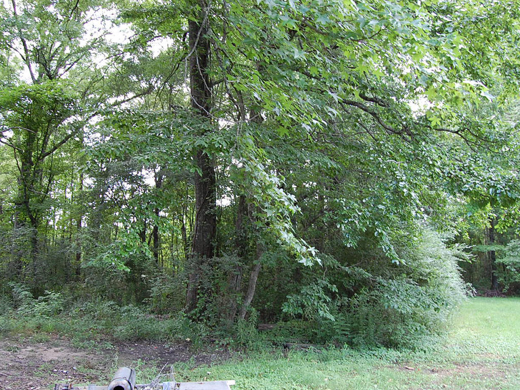 Vast Cheap Carthage Arkansas Homesite LandCentral