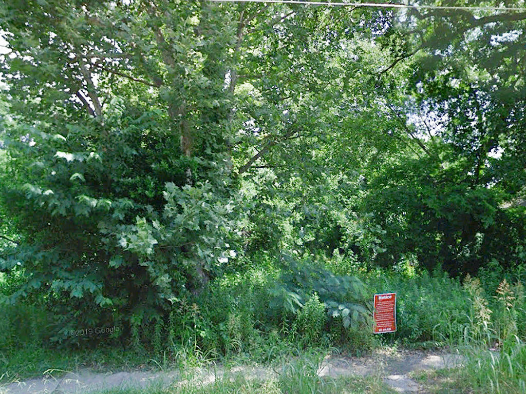 Western Mississippi Lot Near Louisiana Border LandCentral