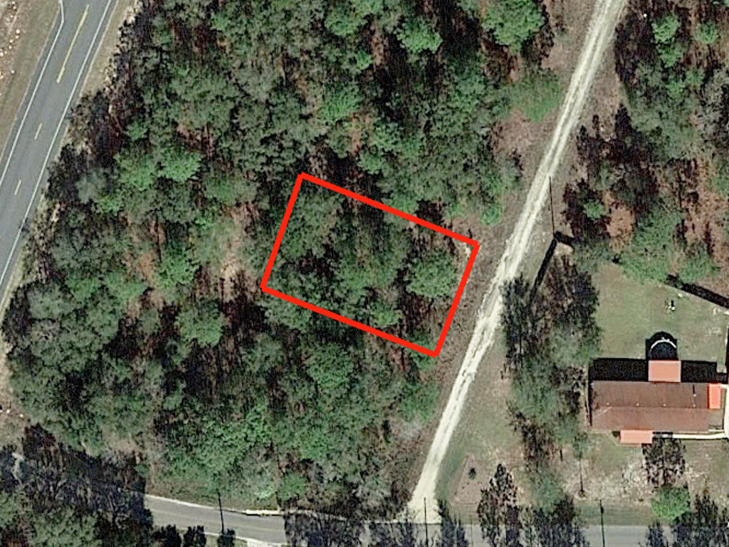 Fertile Florida Land on Near Quarter Acre LandCentral