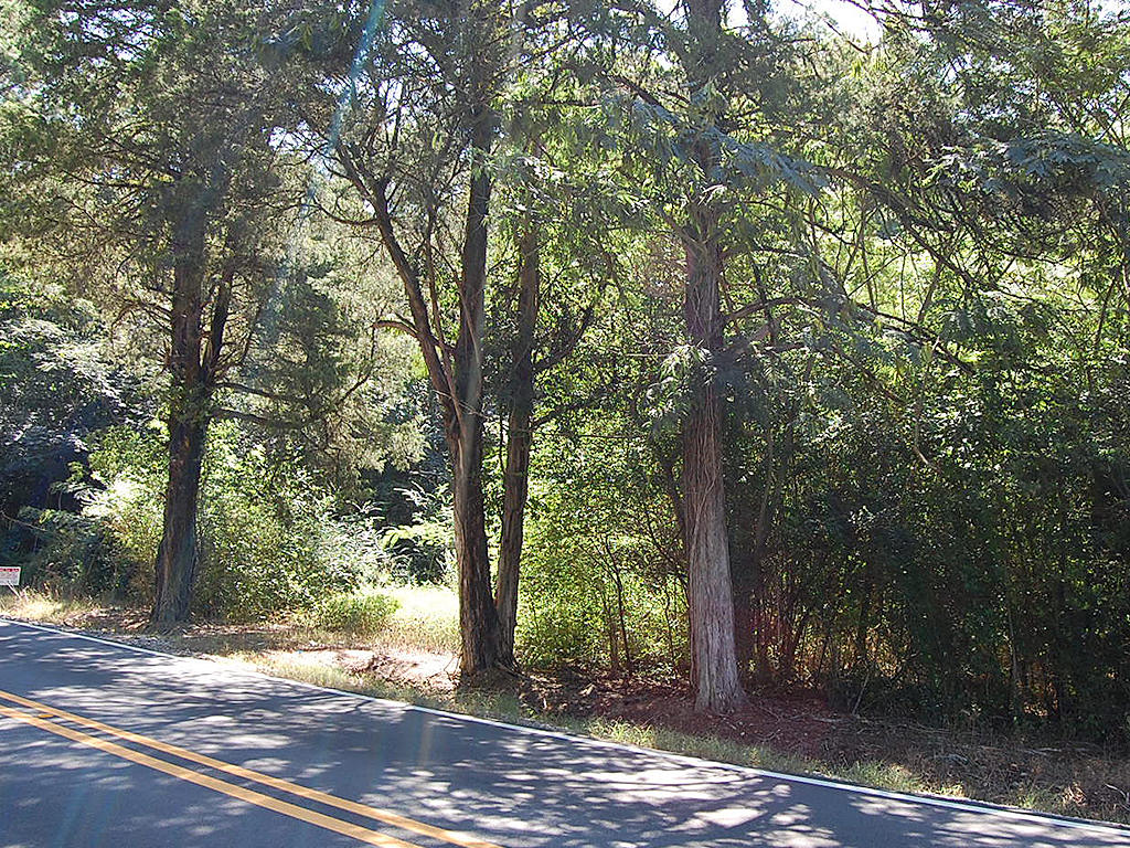 Prime Real Estate in Adger Alabama LandCentral