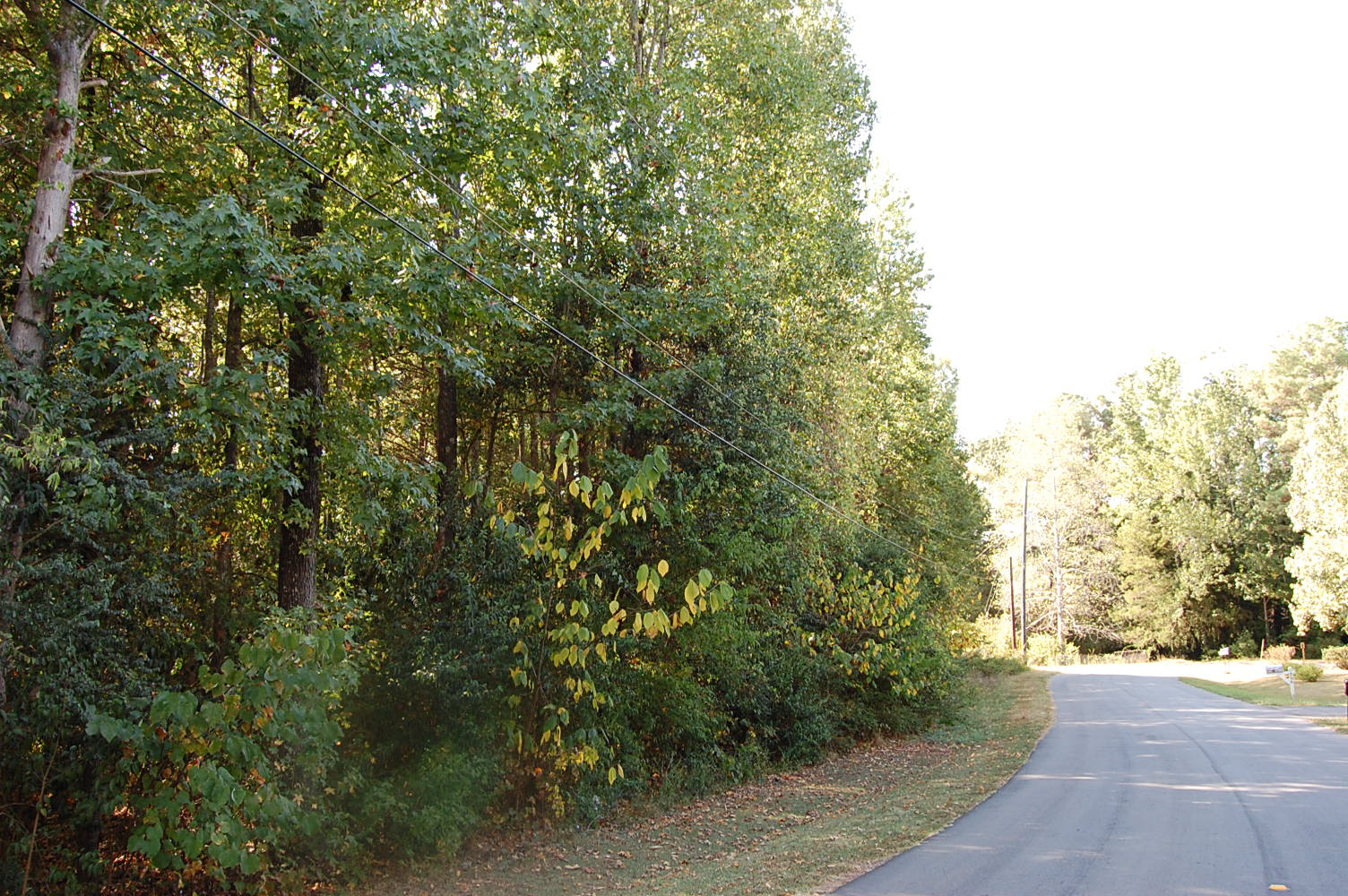 Stunning Lakeside Lot in Charming Community LandCentral