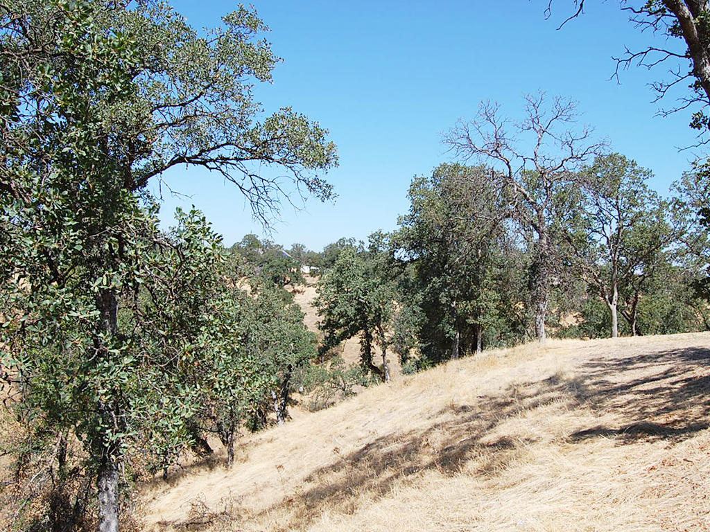 Over Quarter Acre California Lot near Beautiful LandCentral