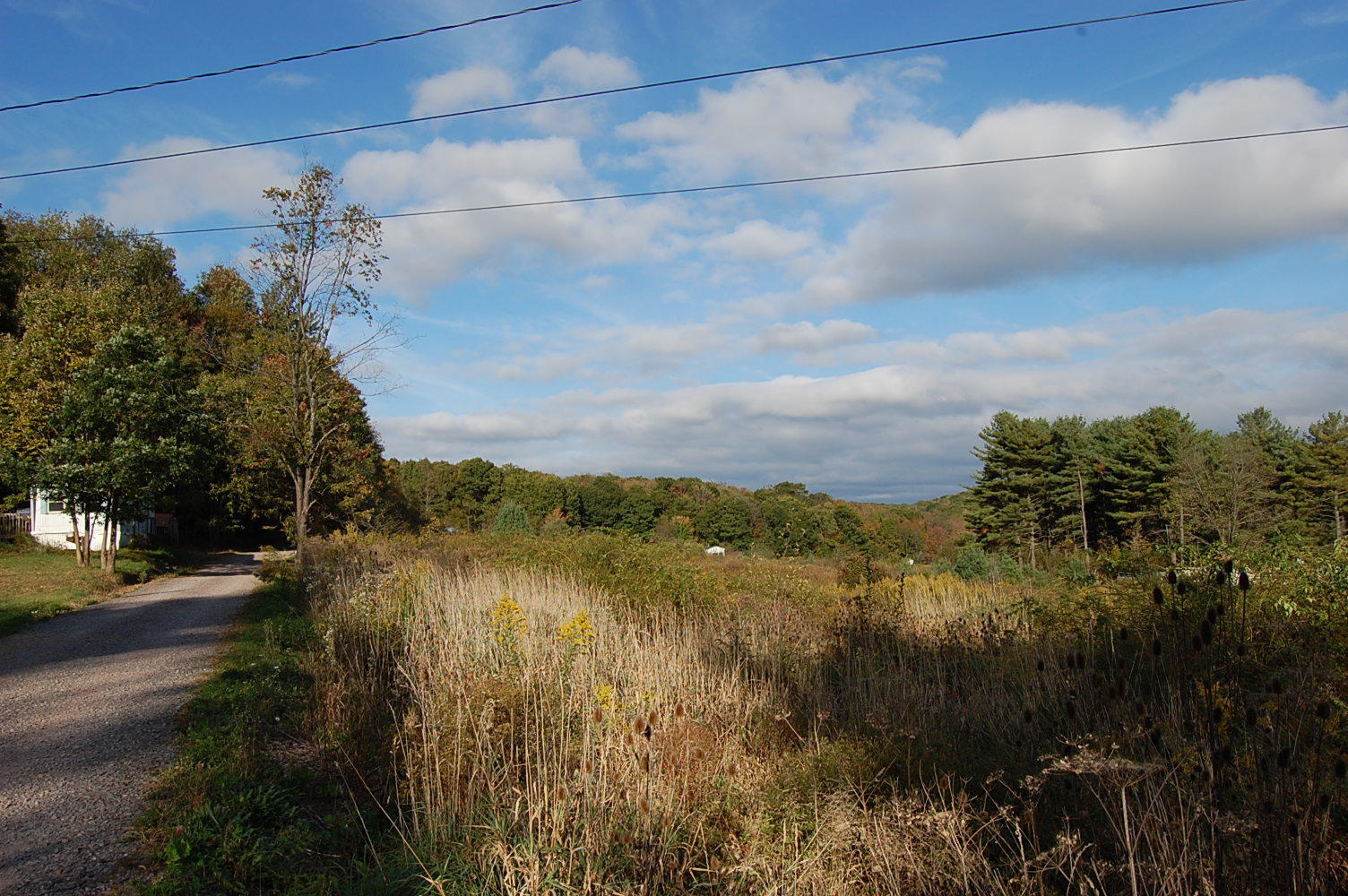Large Rural Getaway in Western Maryland LandCentral