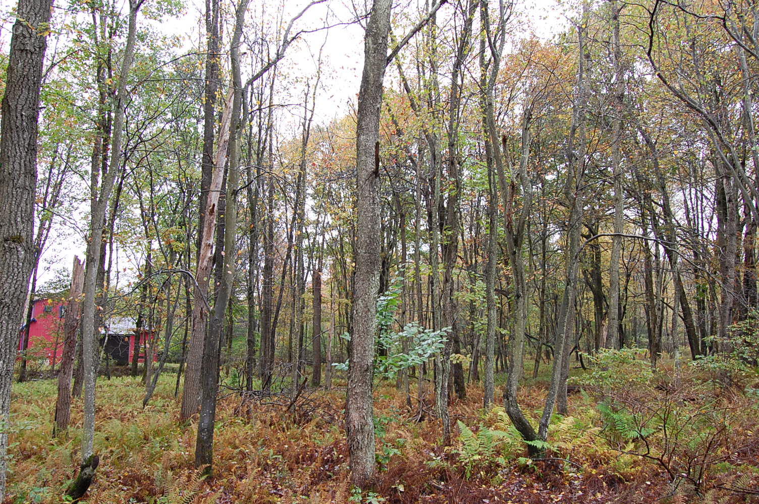 Eastern Pennsylvania Rural Double Lot LandCentral