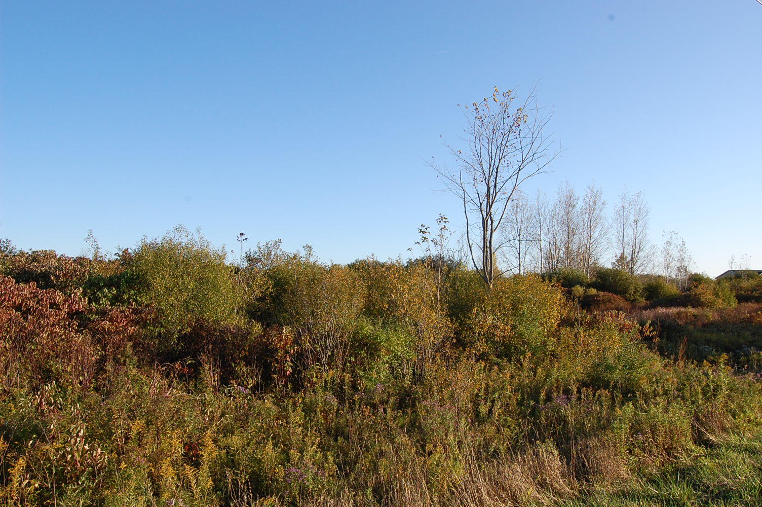 Spacious 10 Acres in New York State Near Lake Ontario - Image 4