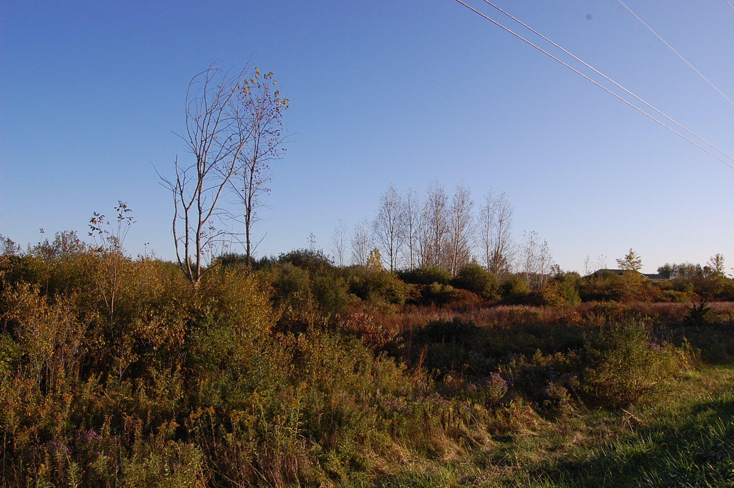 Spacious 10 Acres in New York State Near Lake Ontario - Image 0