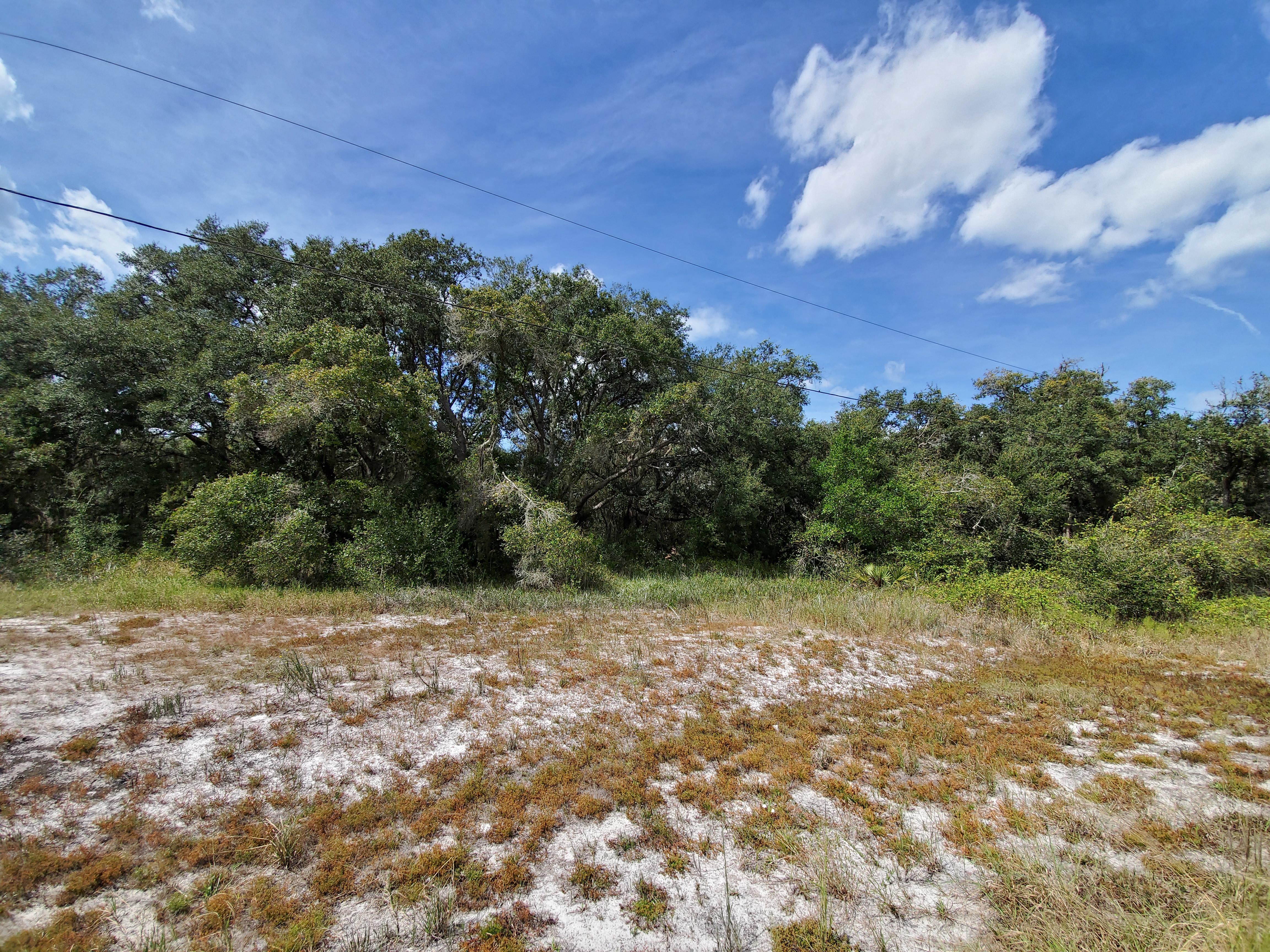 Central Florida Property in Avon Park LandCentral