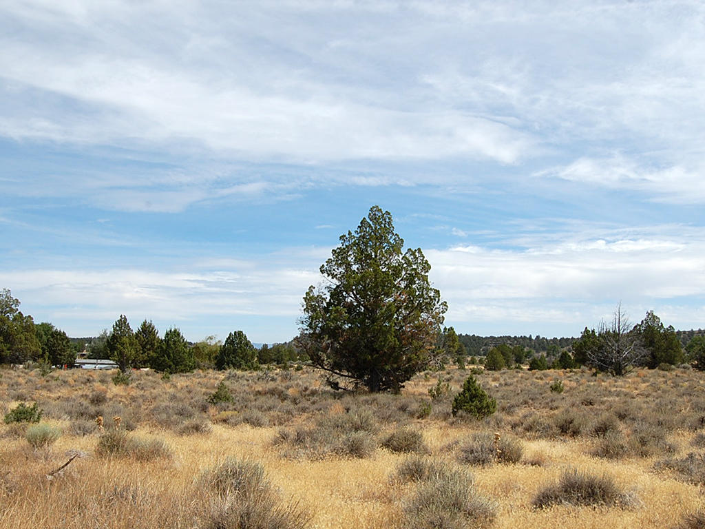 Rural Northern California Acreage LandCentral