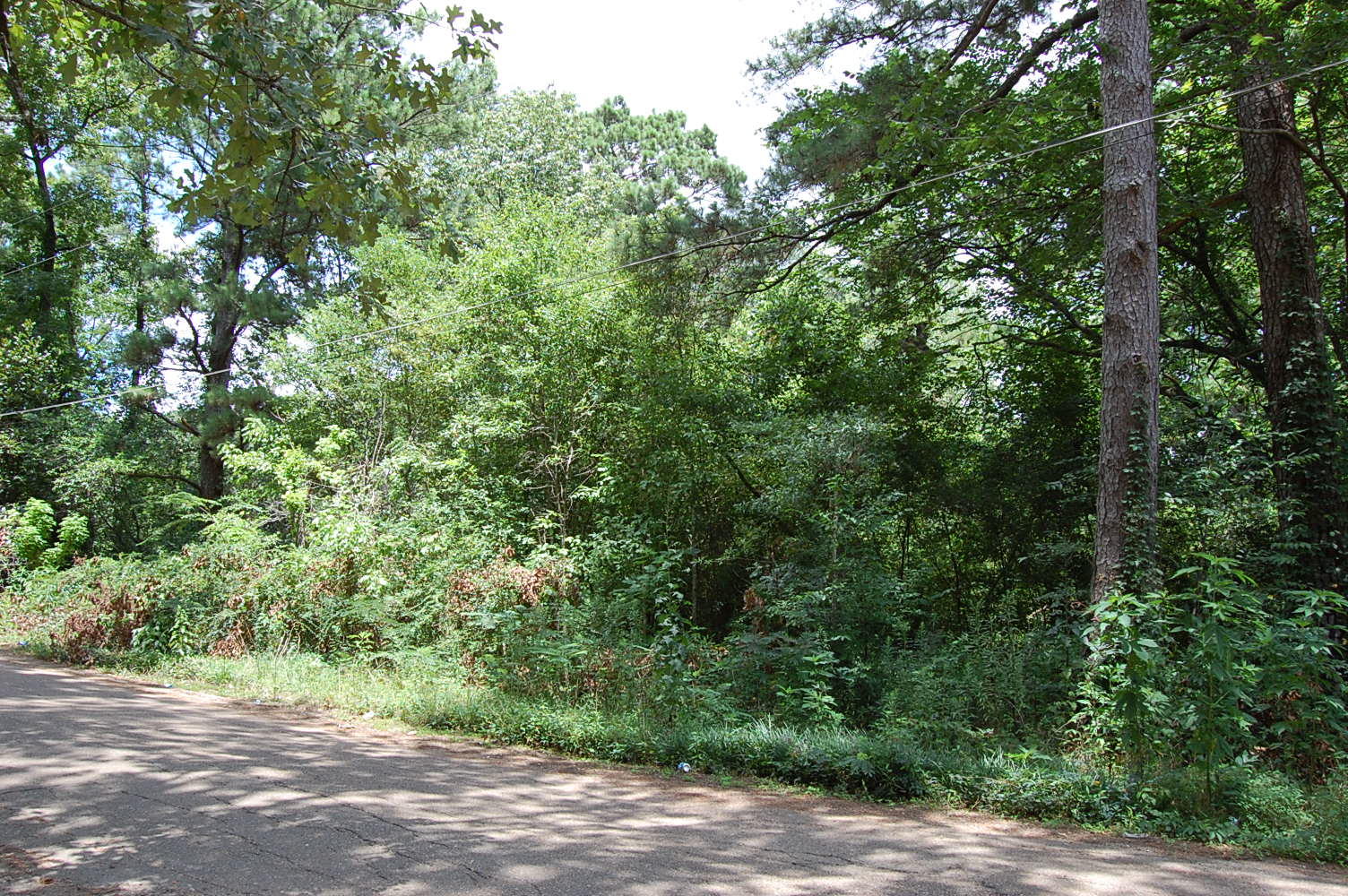 Double lot in Mississippi's Capital LandCentral