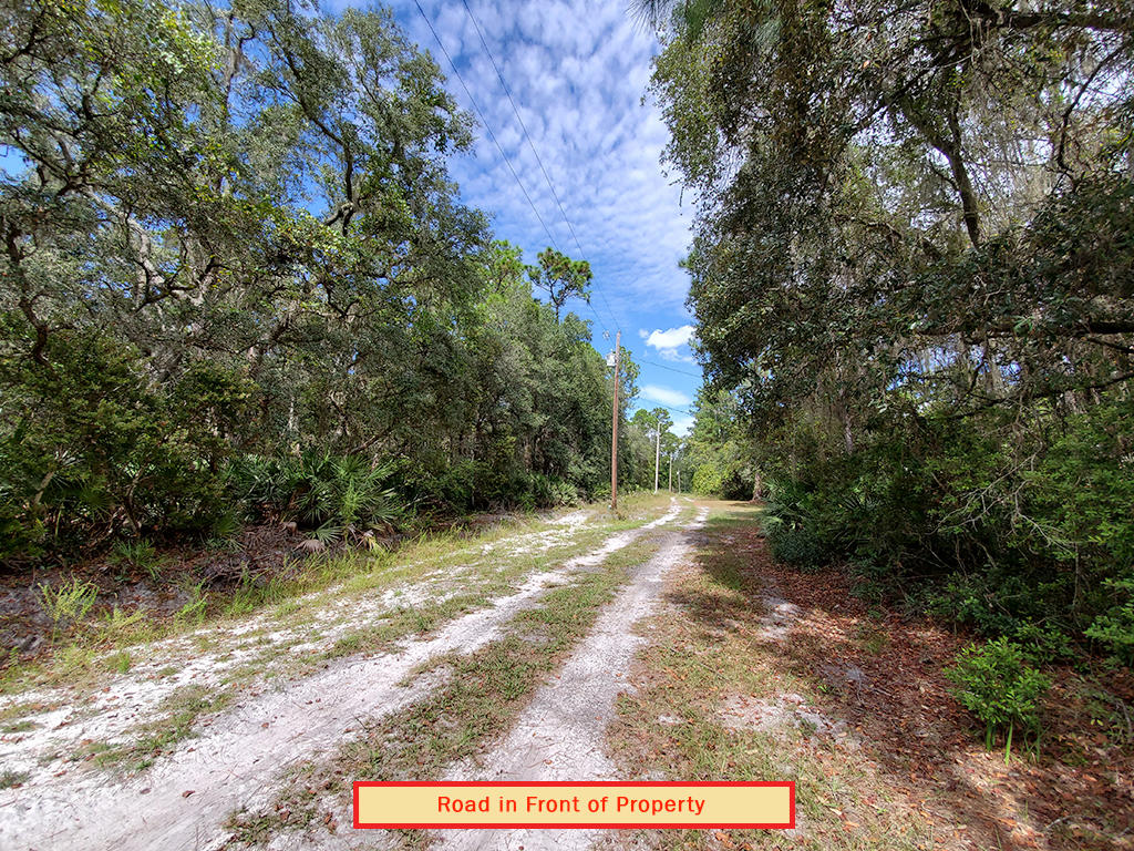 Affordable Florida Lot in Popular Marion County Florida - Image 5